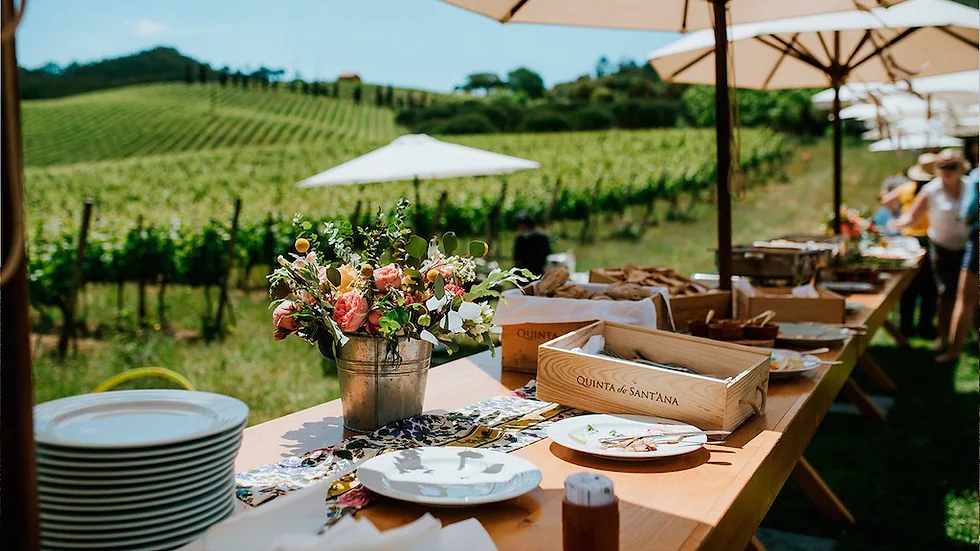 Lisbon Food & Wine Tasting Tours