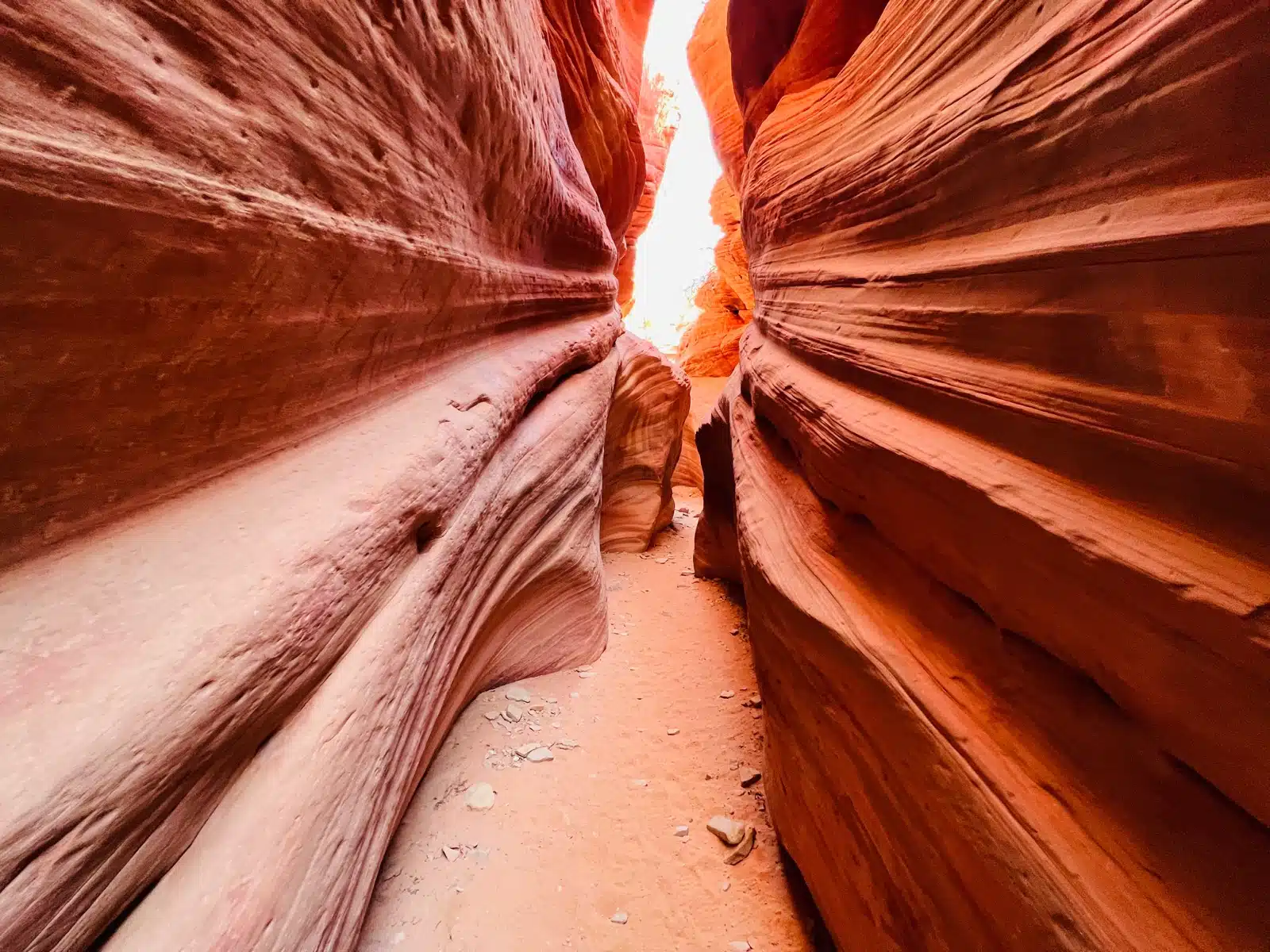 The Narrow Corridor