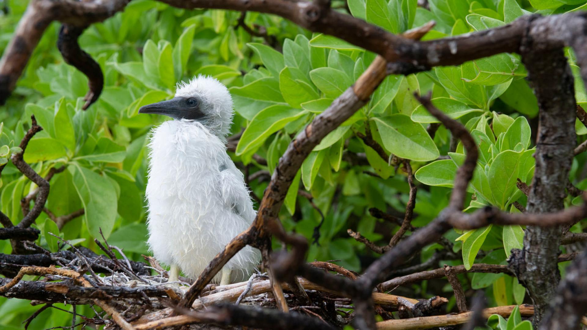 Bird Island Shoreline