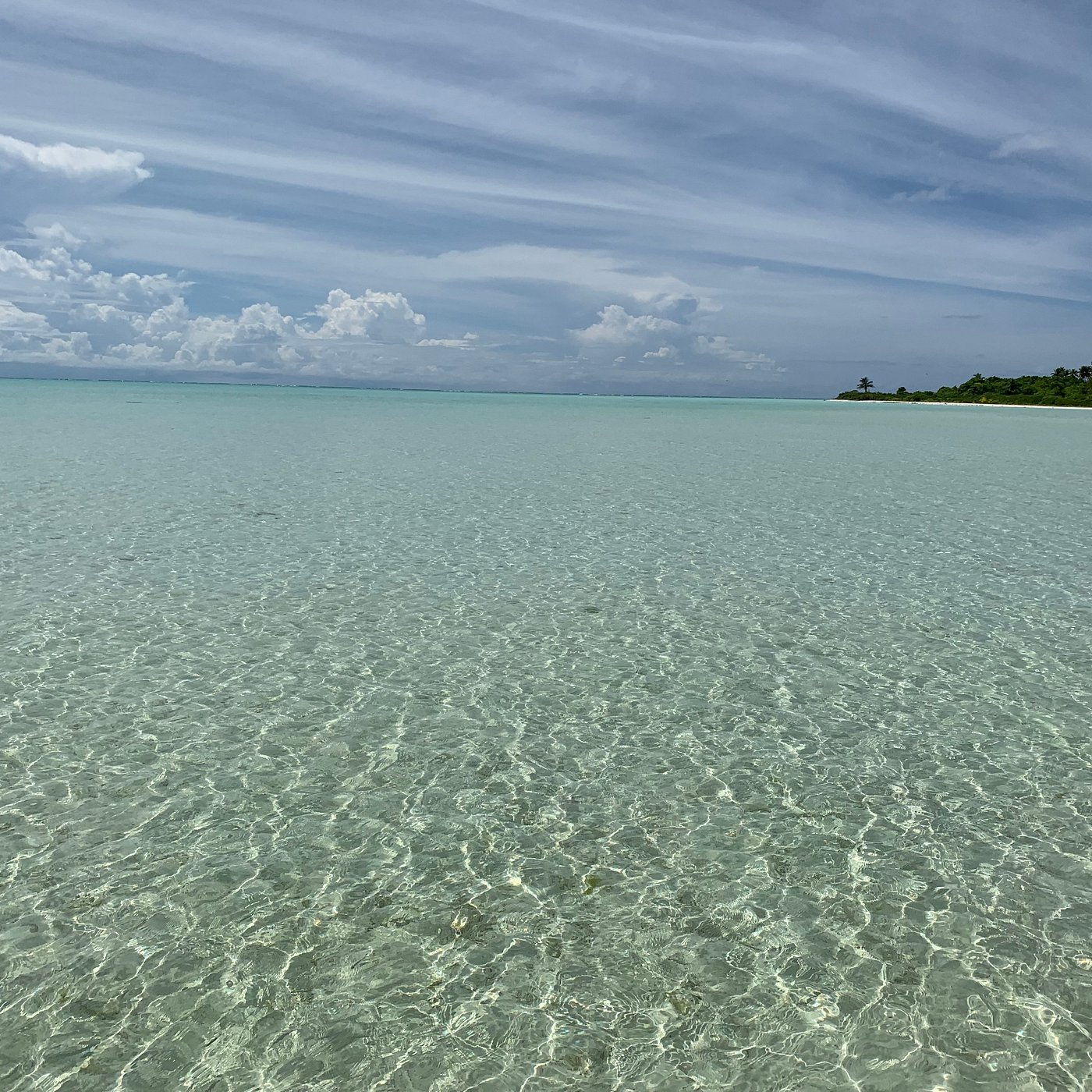 Lagoon Shallow Flats