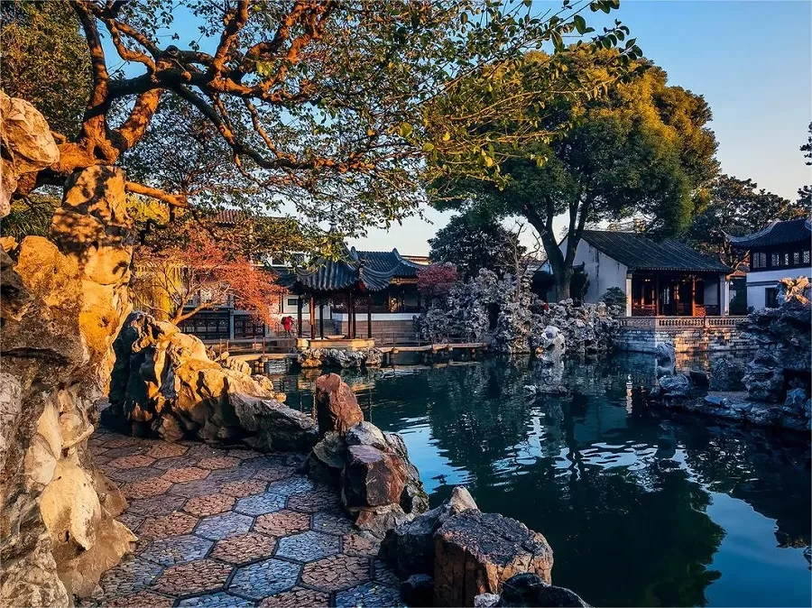 Lion Grove Garden