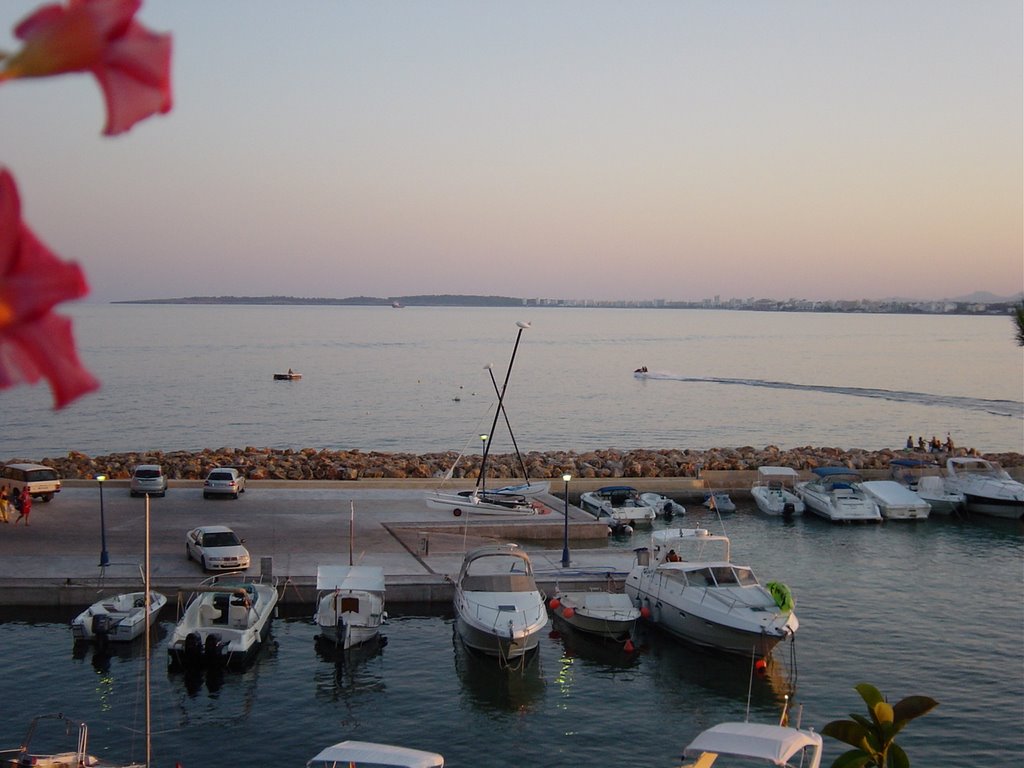 Puerto de Costa de los Pinos Breakwater