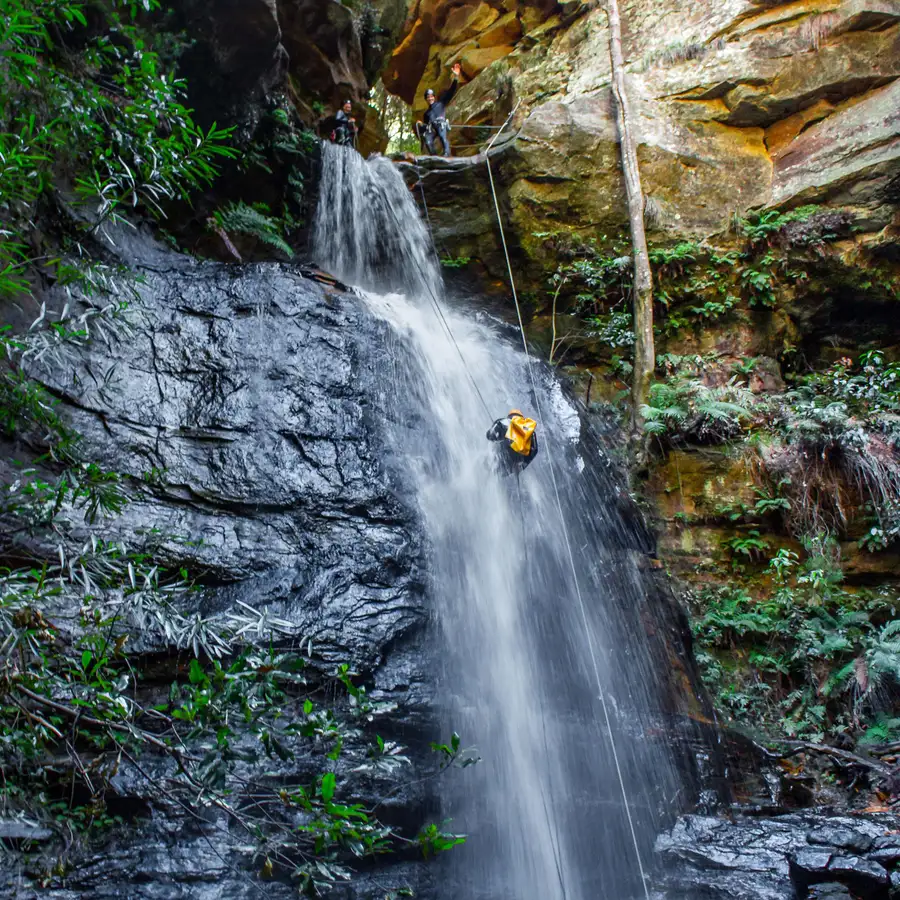Behana Gorge Rainforest Canyoning Tour