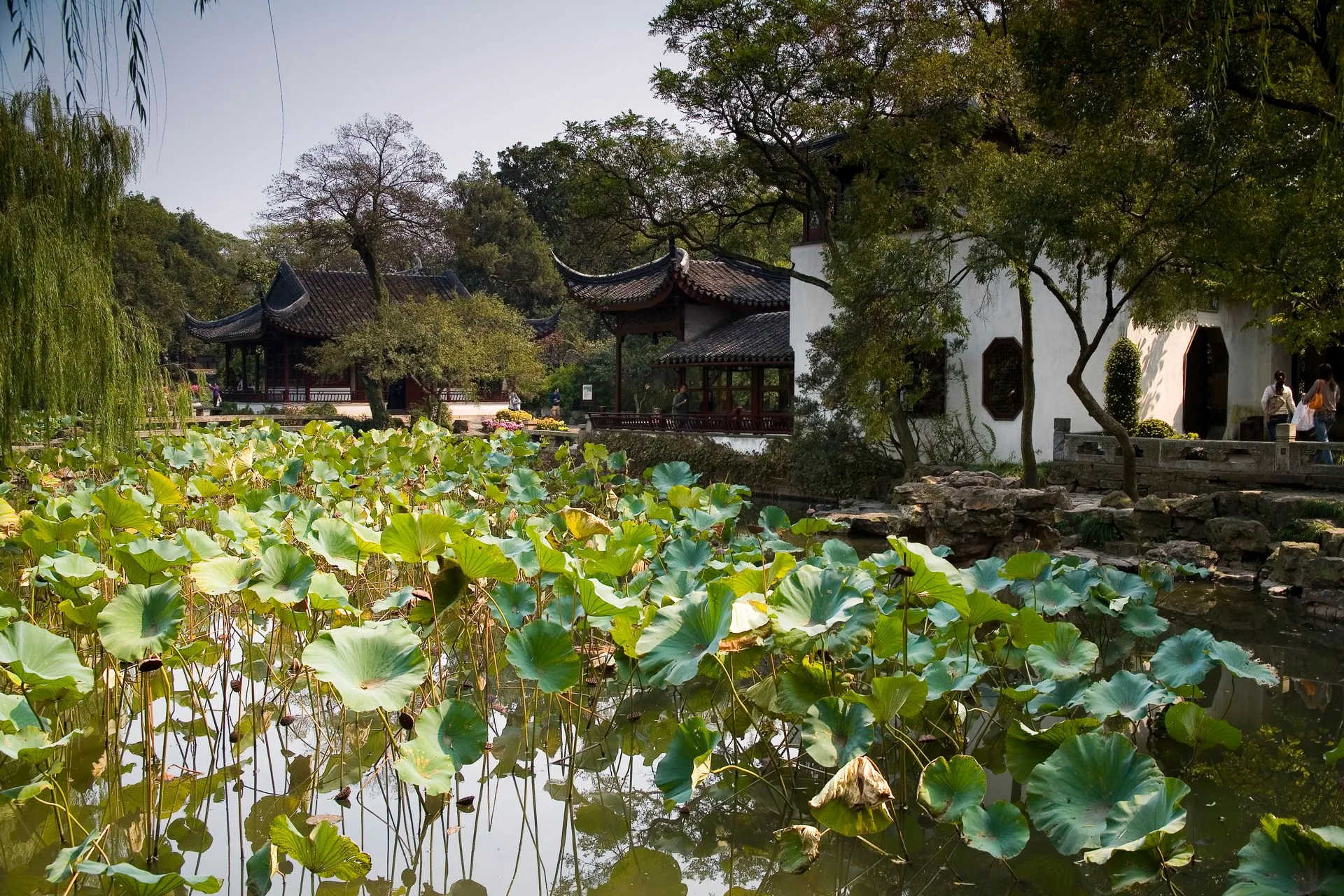 The Reflection of the Pagoda