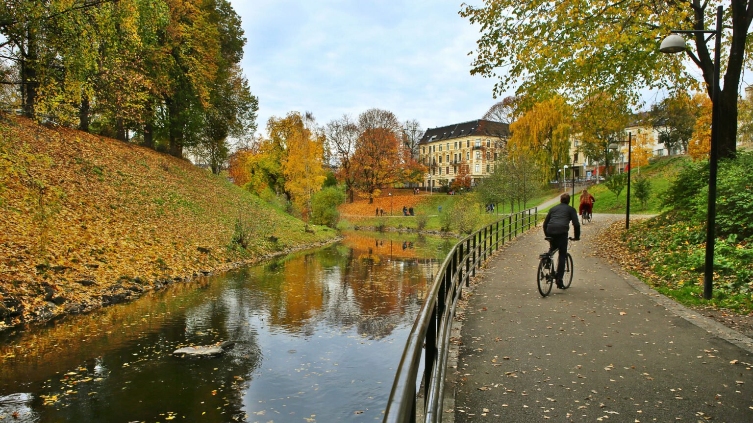River Path Exploration