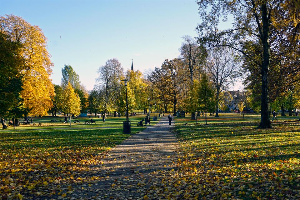 Sofienberg Park