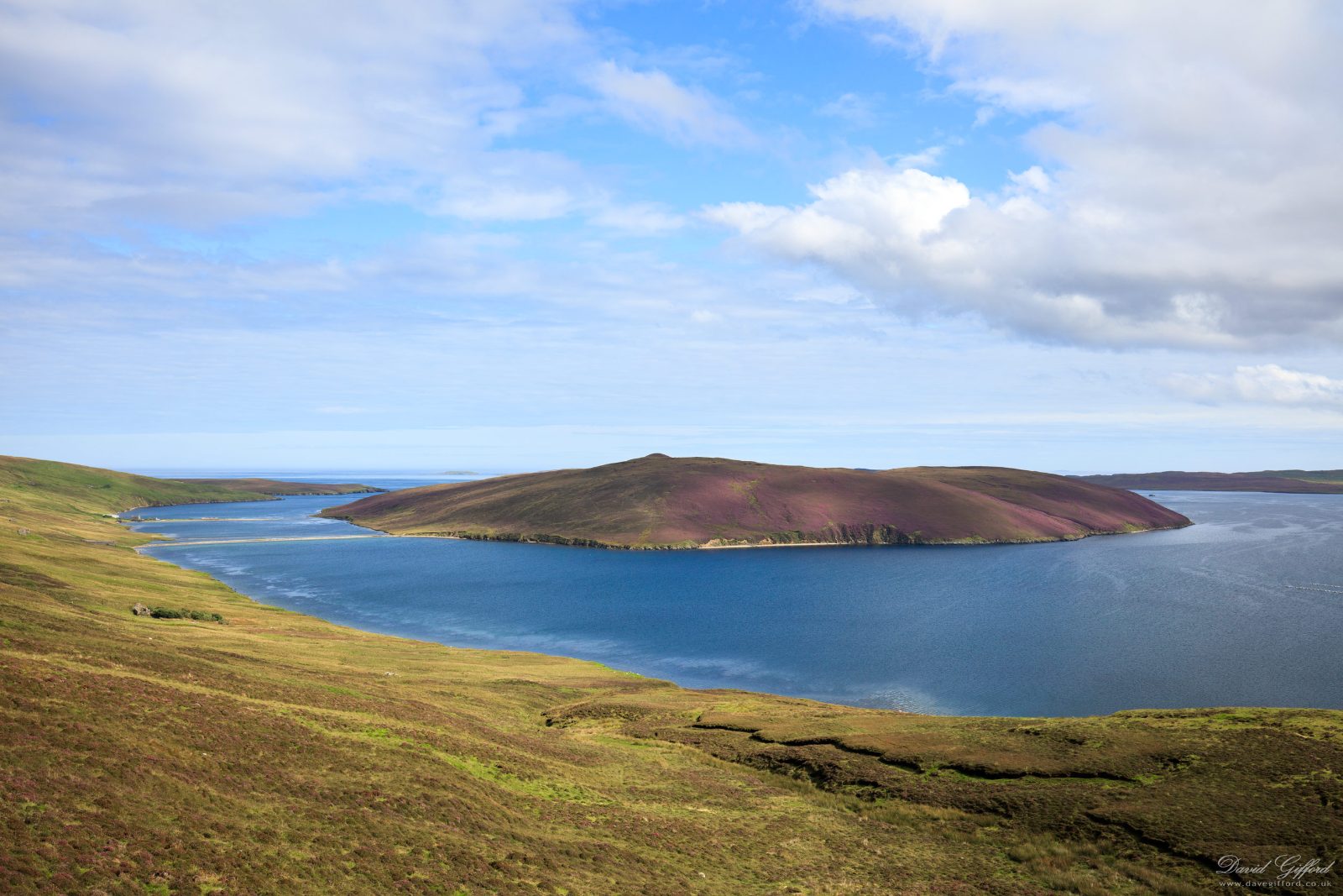 Heather Island