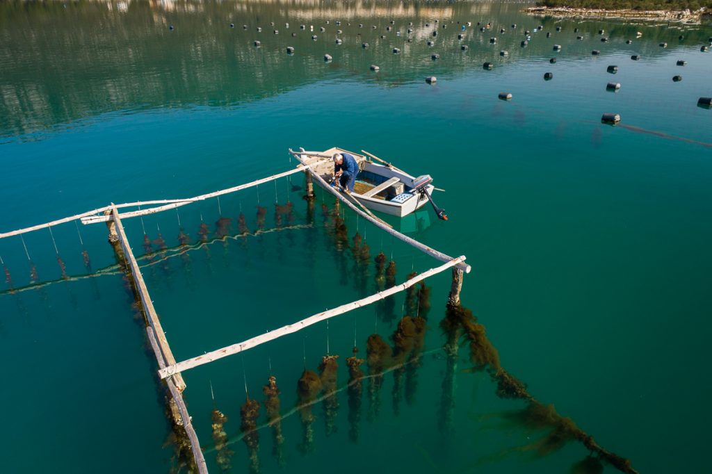 Oyster Farm Rafts