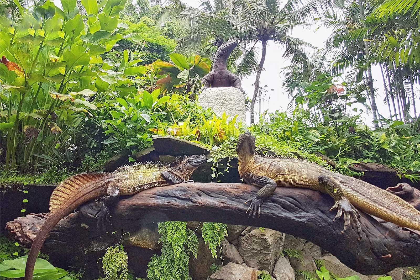 Reptile Park