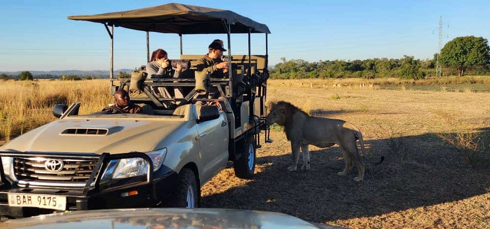 Game Drive Vehicle