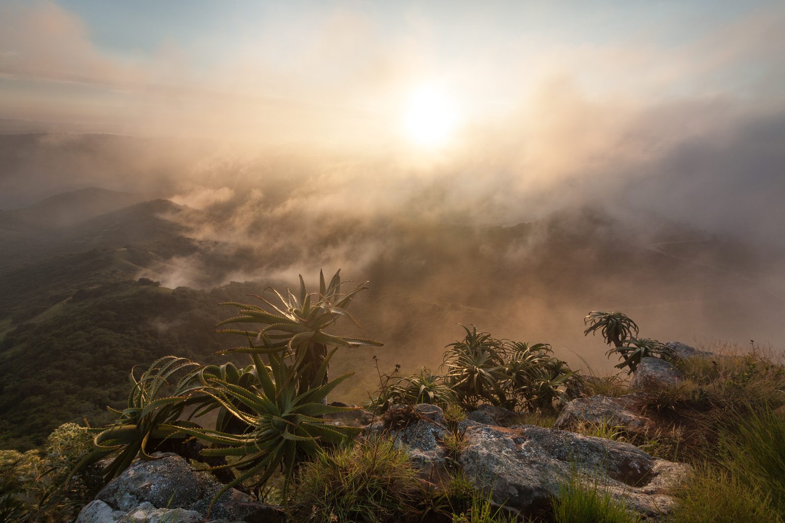 Valley of a Thousand Hills Viewpoint