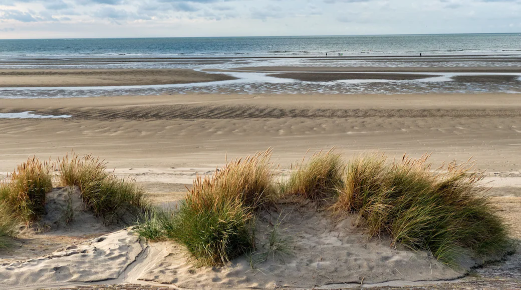 Malo-les-Bains Beach View