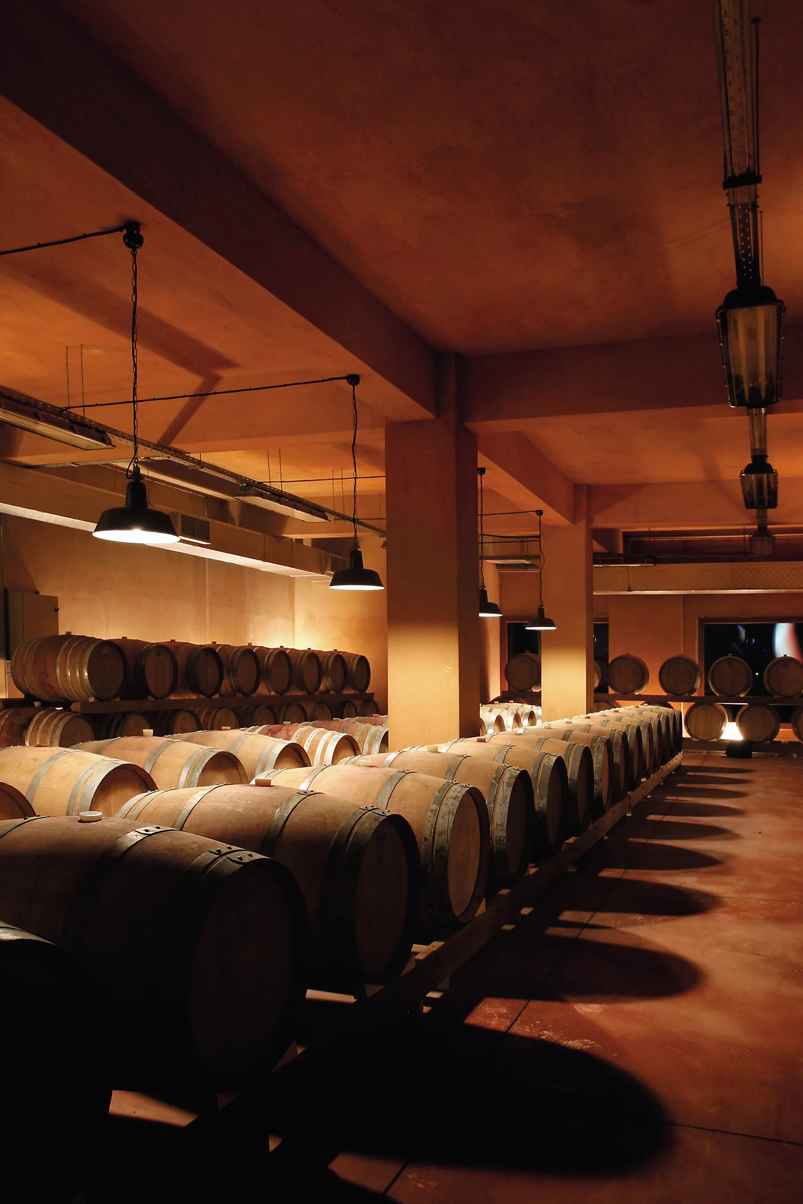 Wine Cellar Barrel Room