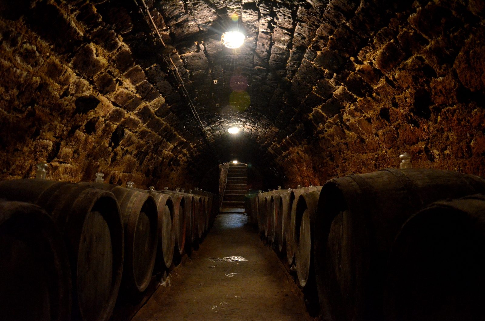 Ancient Cellar