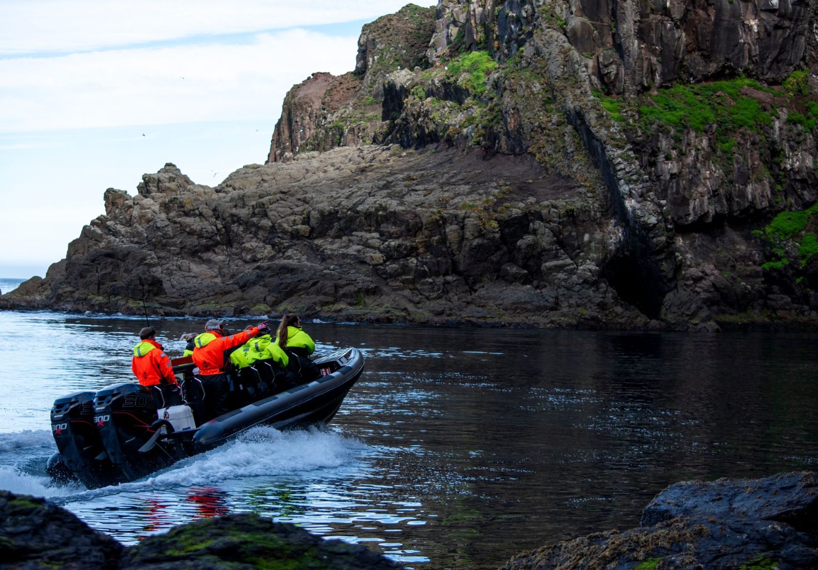 Puffin Safari Bleik Price
