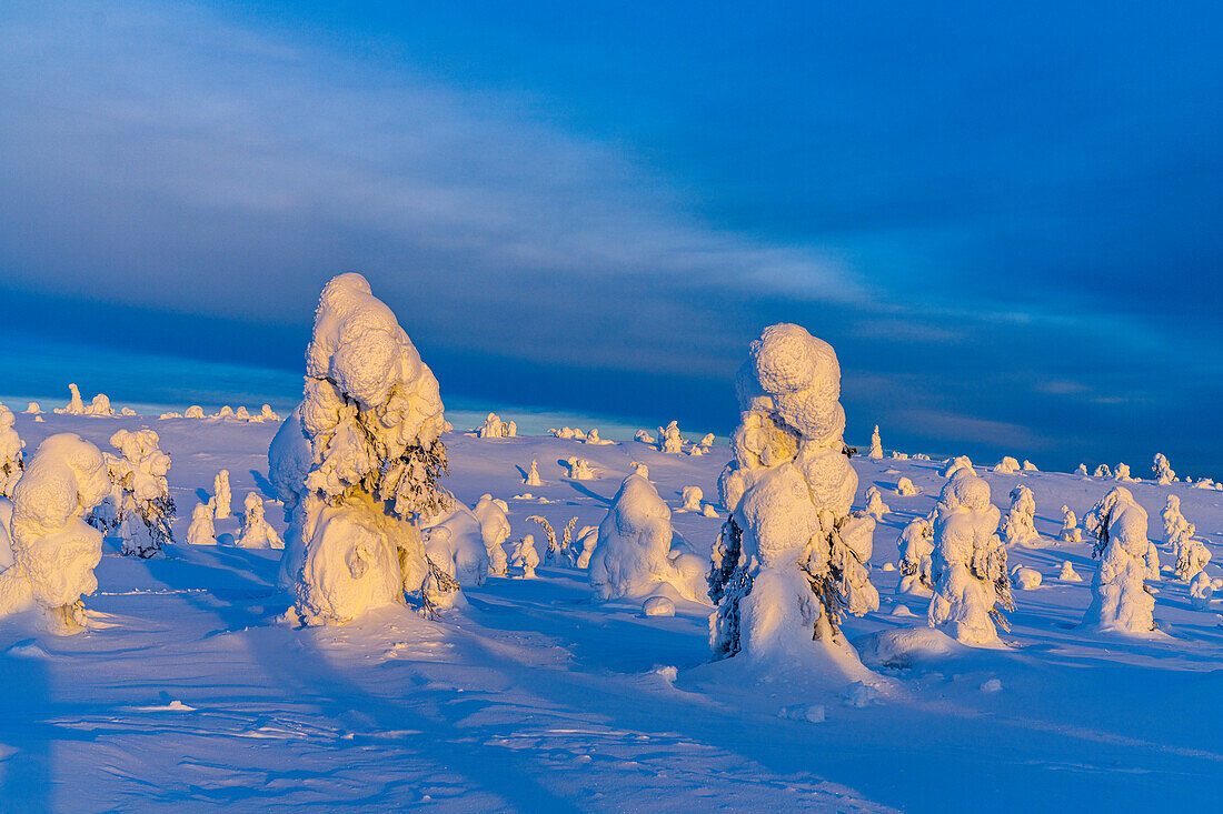 Riisitunturi Summit