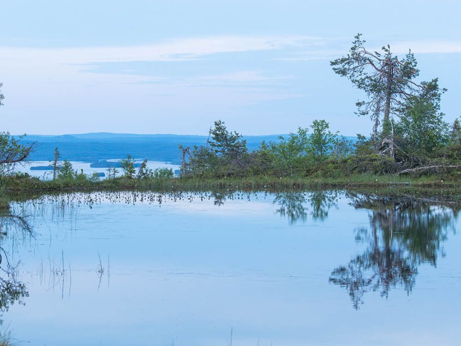 Ikkunalampi Pond