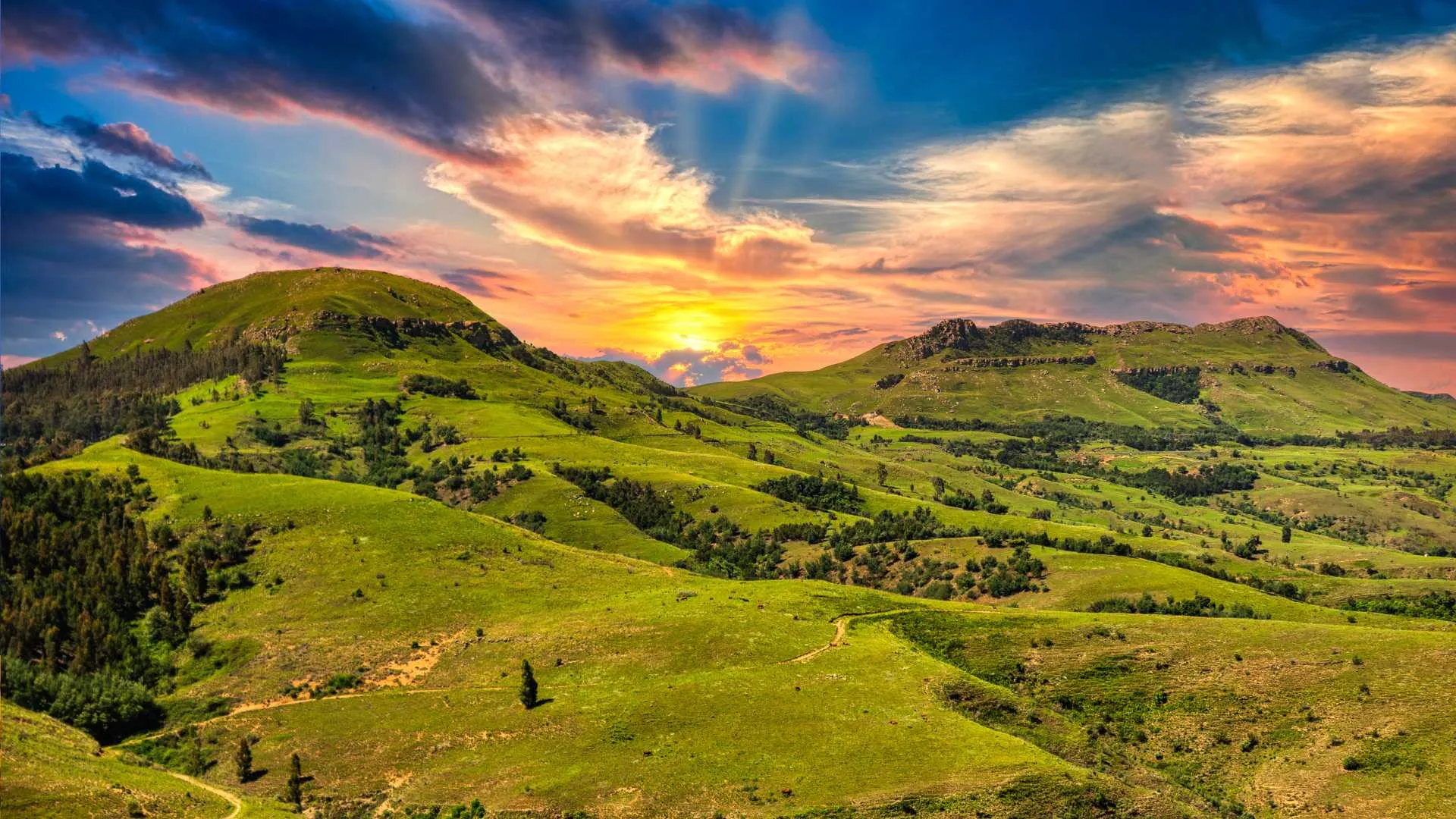 Valley of 1000 Hills