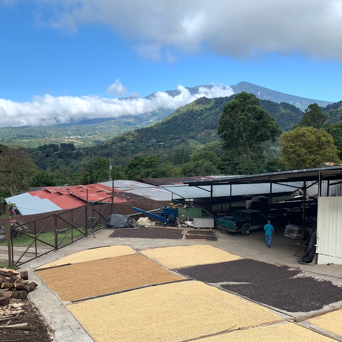 Drying Patios