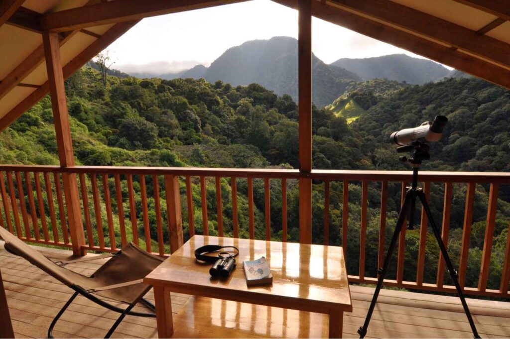 Cloud Forest Lookout