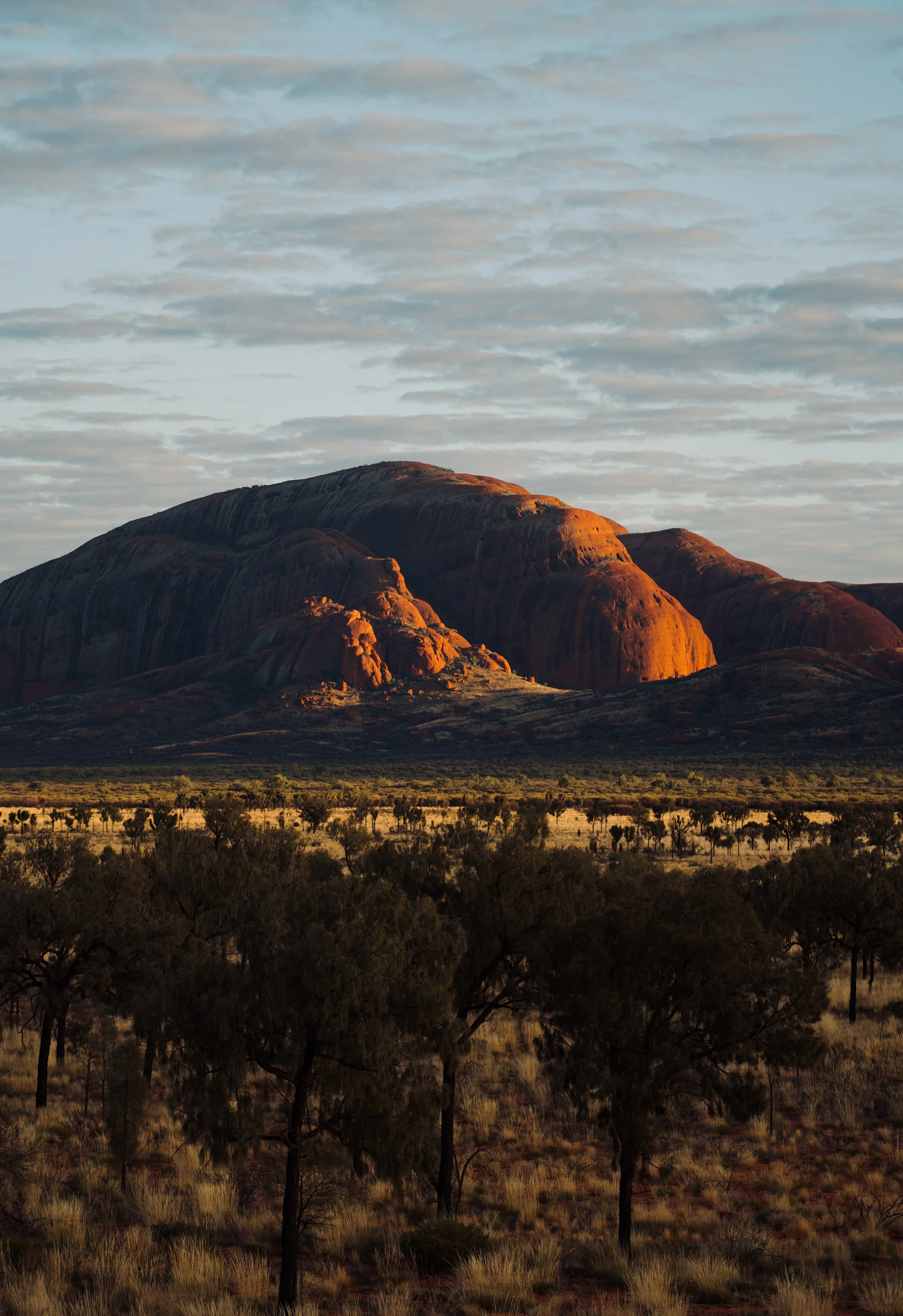 Kata Tjuta Dune Viewing Area