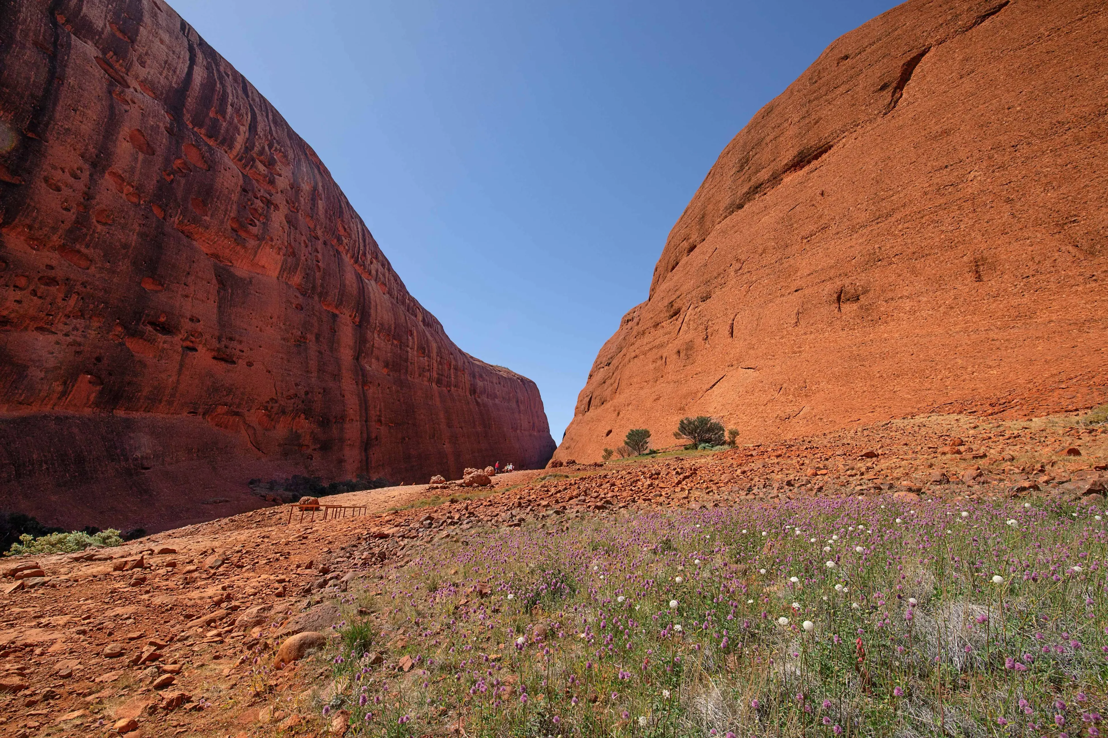 Valley of the Winds track
