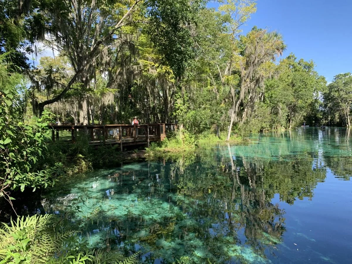 Three Sisters Springs Boardwalk