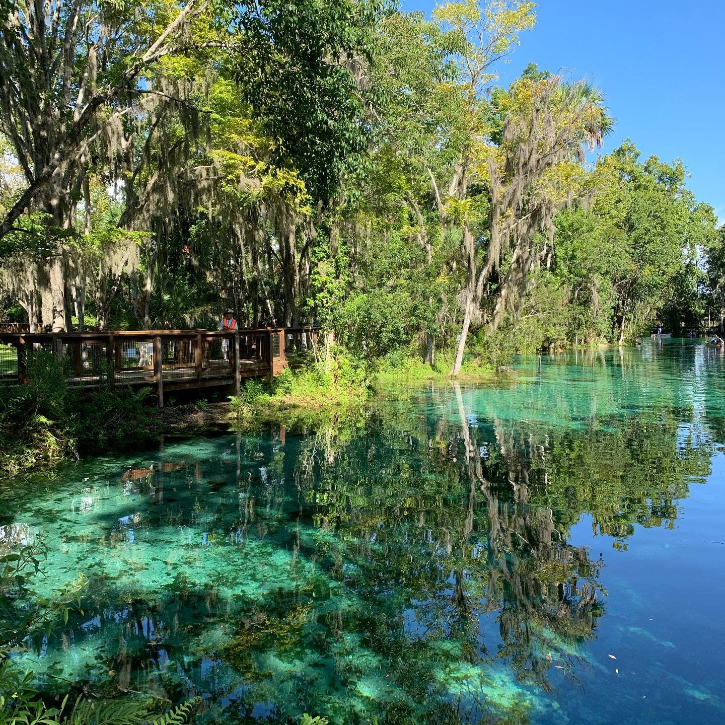 Manatee Observation Platform
