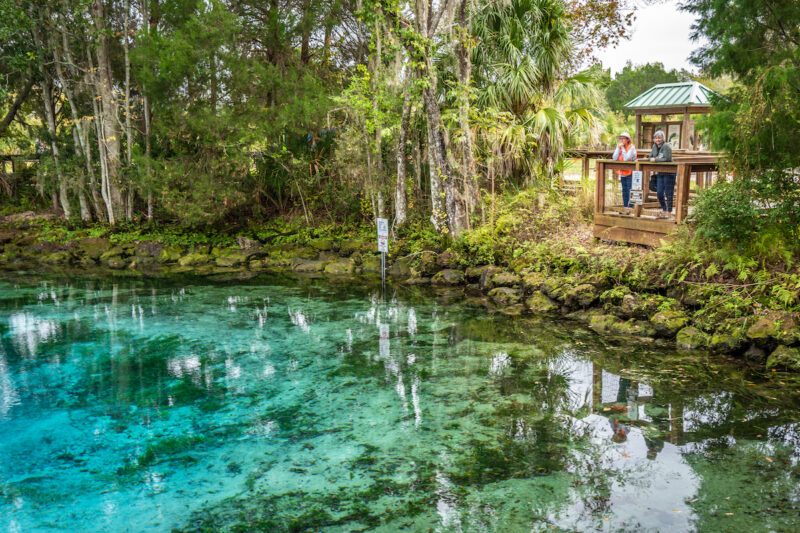 Three Sisters Springs Boardwalk