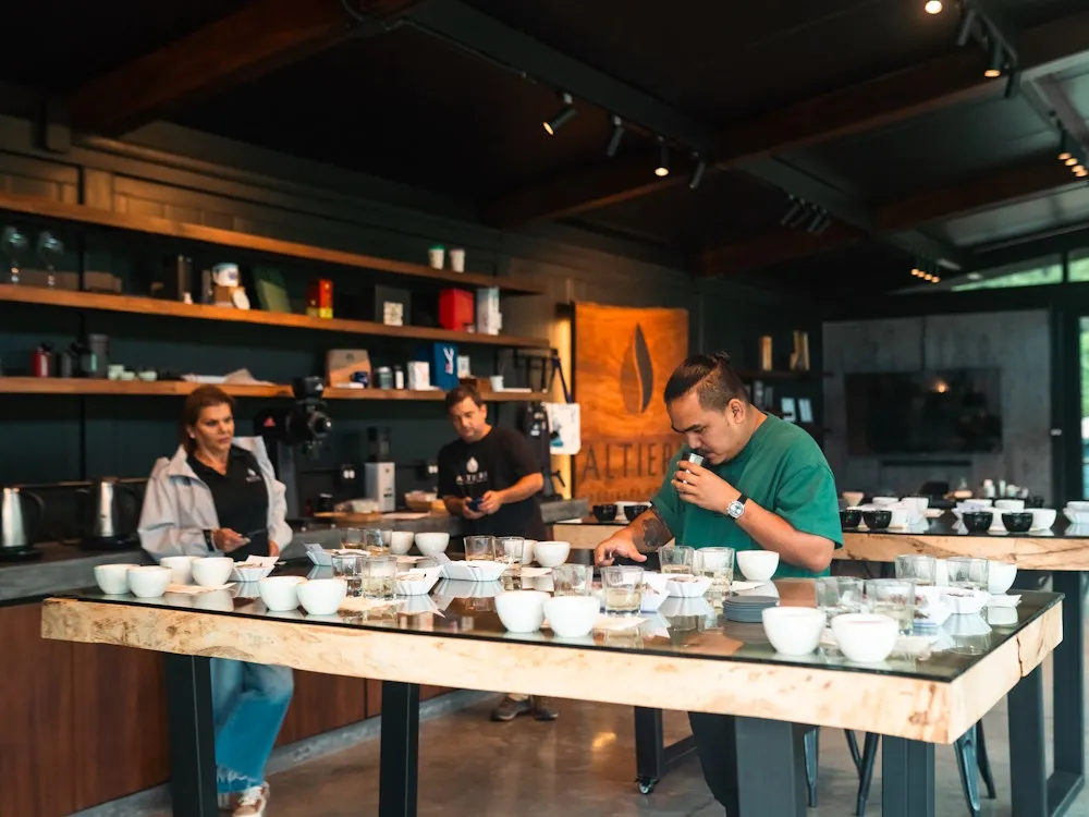 Best Boquete Coffee Tour