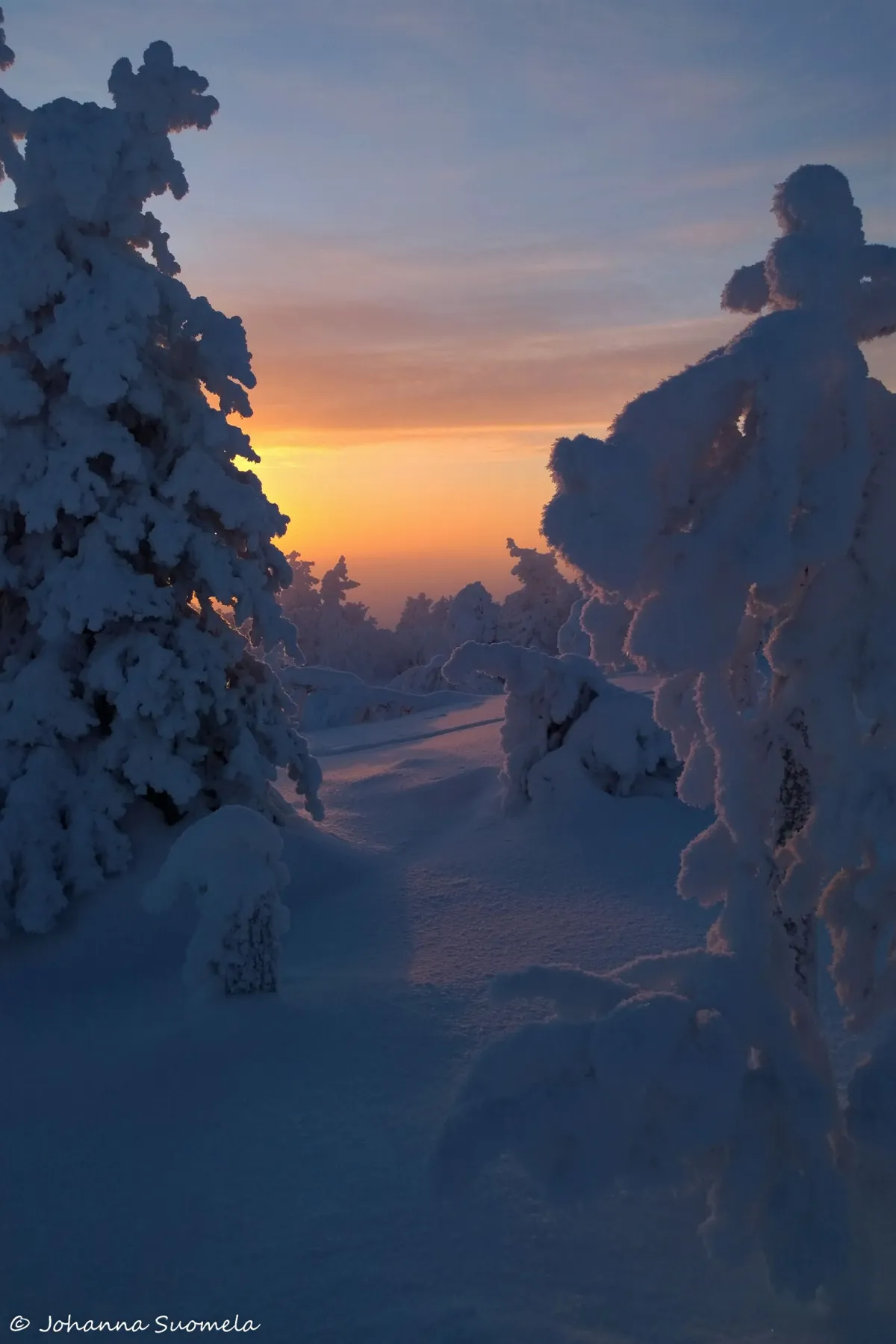 Kätkätunturi Fell Trail
