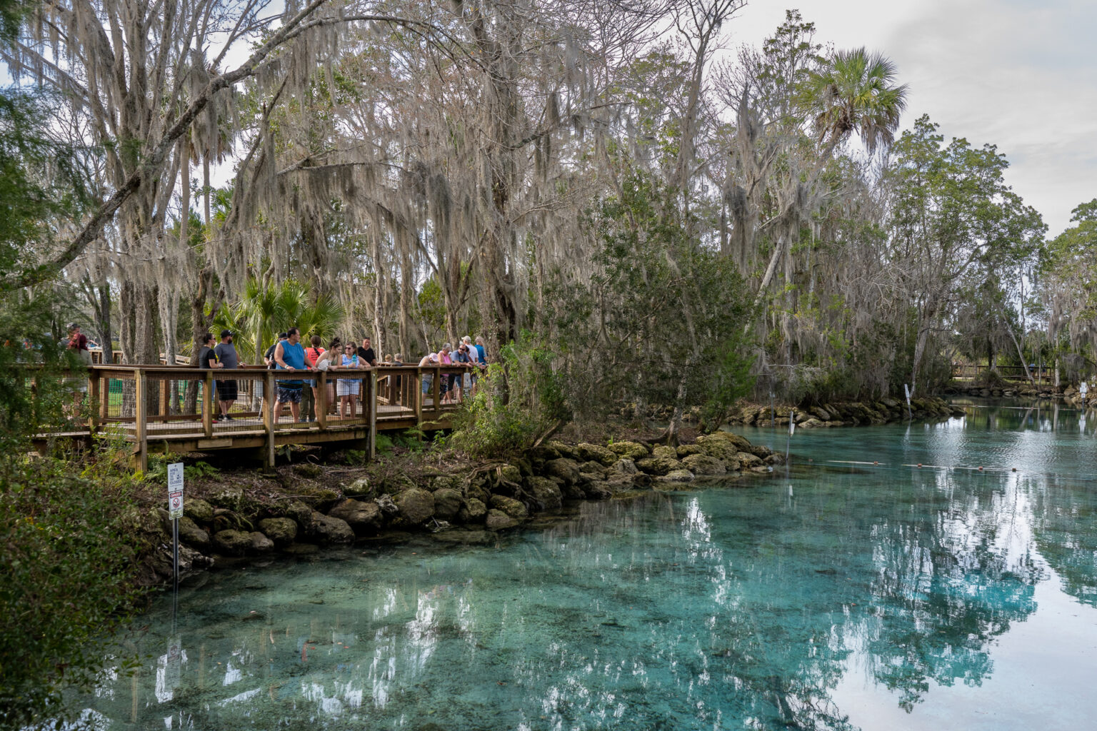 Manatee Cam Viewpoint