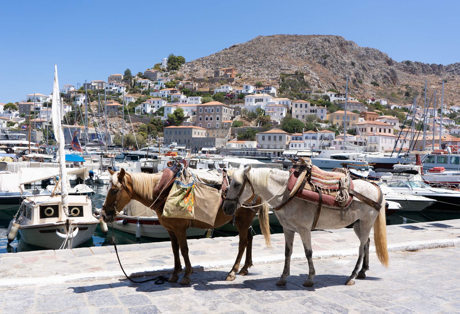 Poros Hydra Aegina One Day Cruise With Lunch