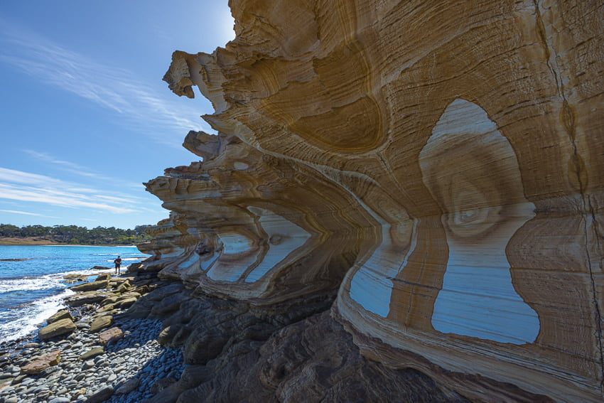 Fossil Cliffs