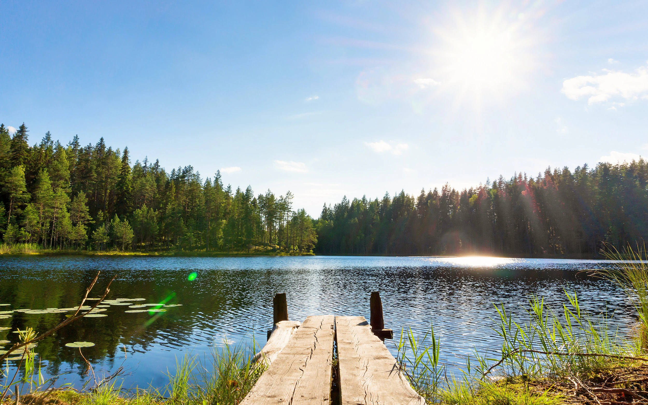 Lake Immeljärvi Shore