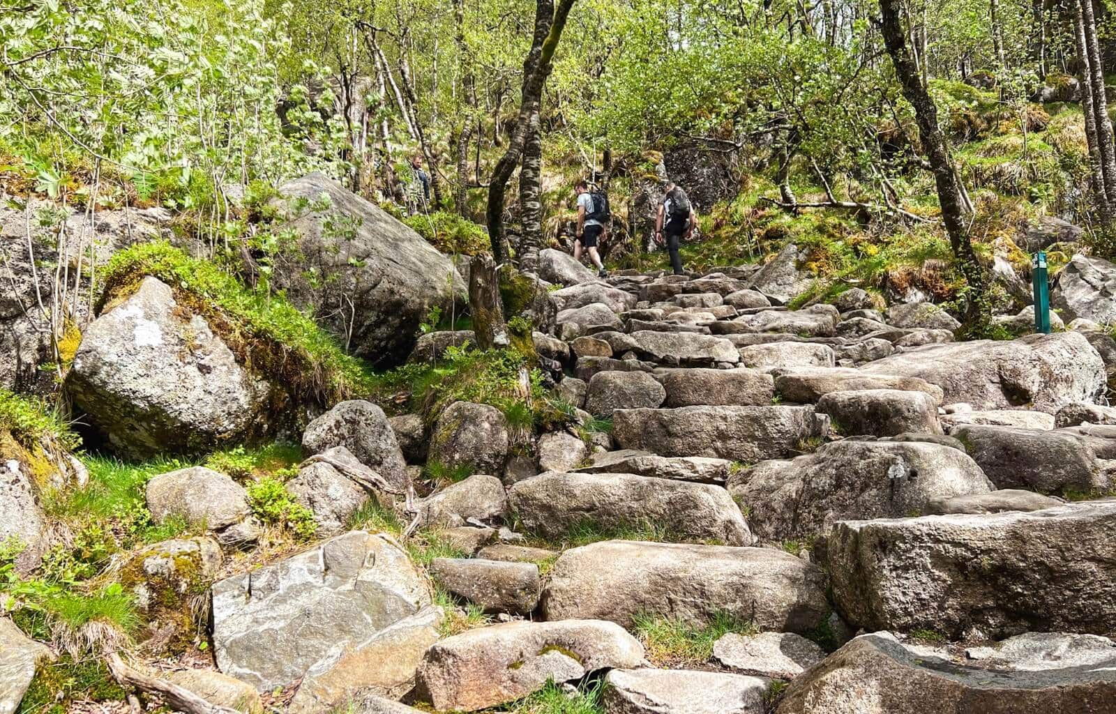 Pulpit Rock Guided Hike