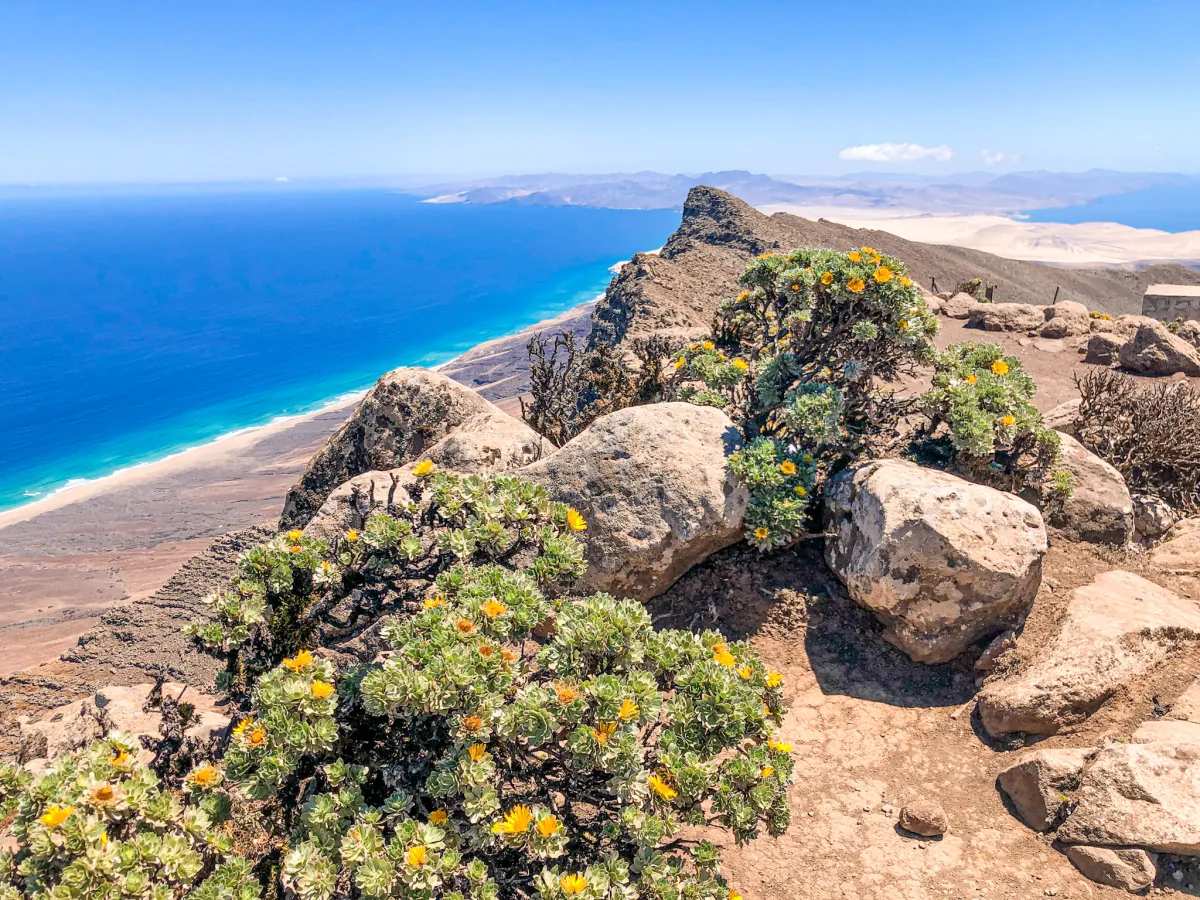 Pico de la Zarza