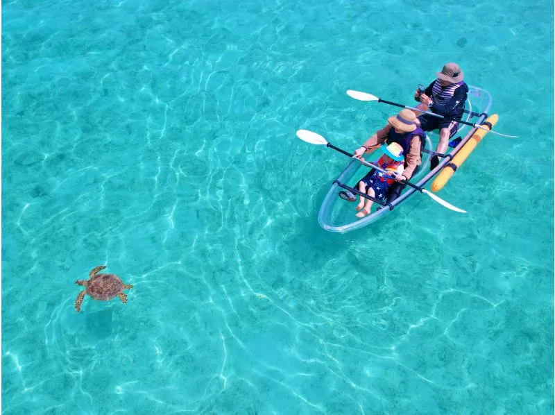 Turtle Town Kayak Rental