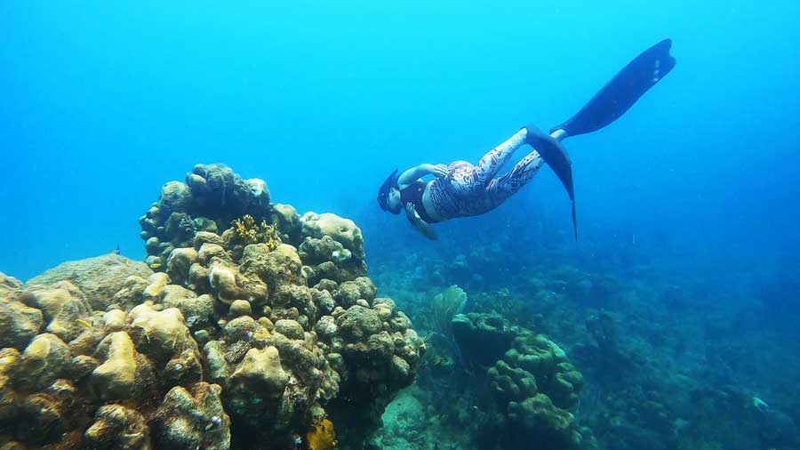 Buck Island Snorkel Site