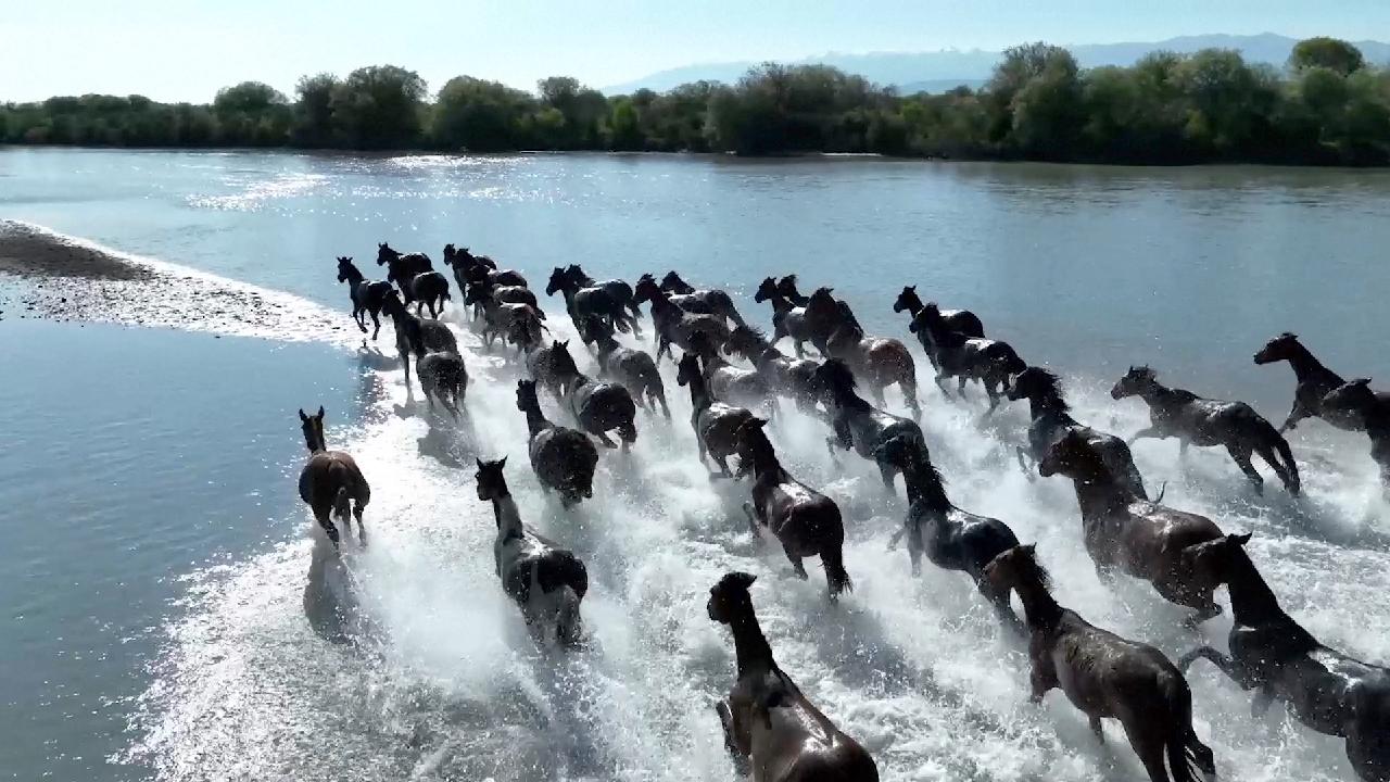 Horse Riding Dubrovnik Beach