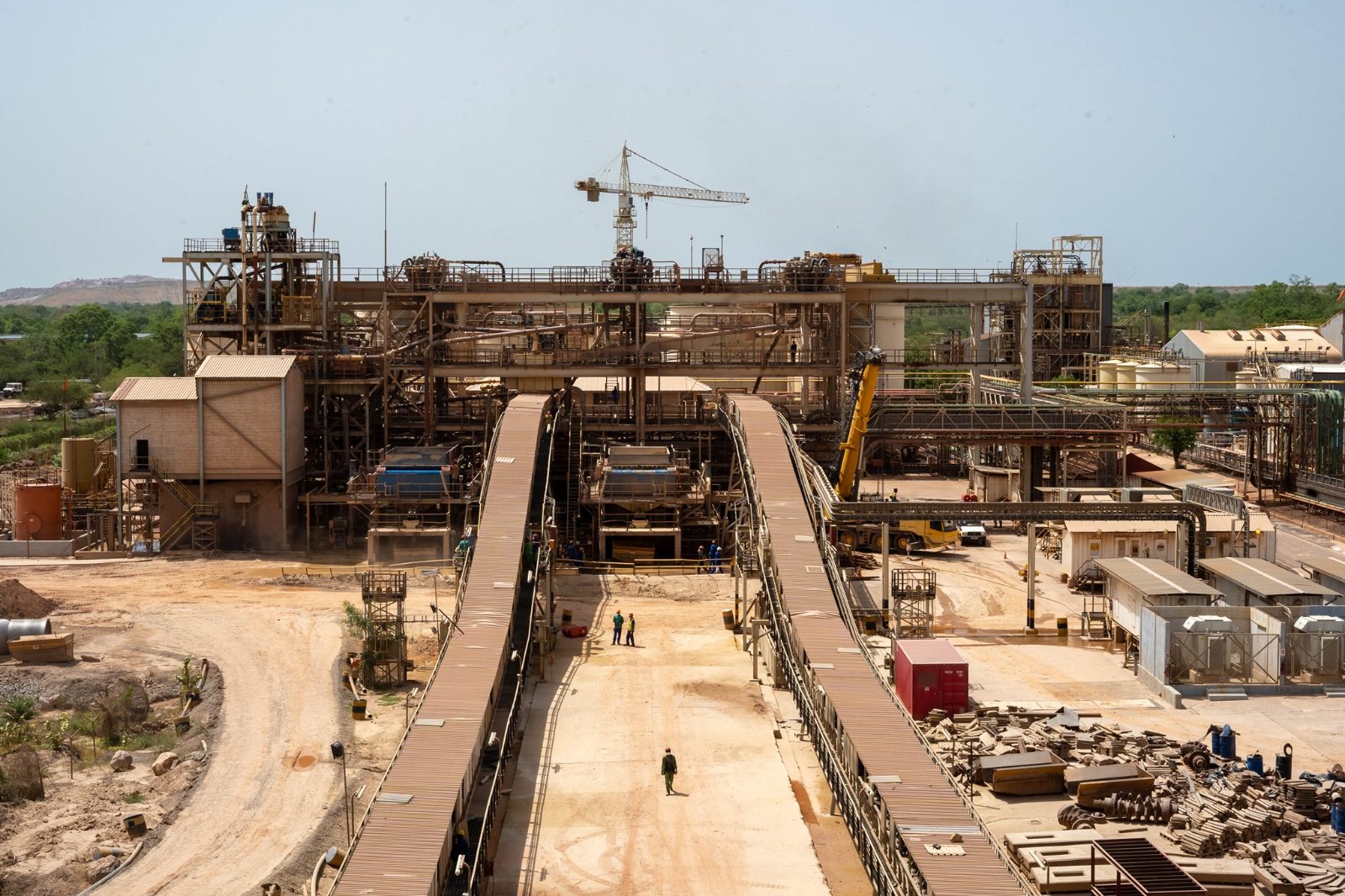 Sorting Plant