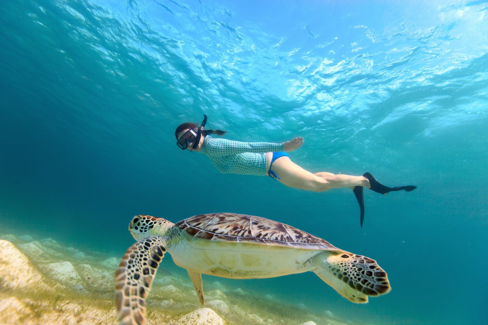 Turtle Town Clear Kayak & Snorkel Tour