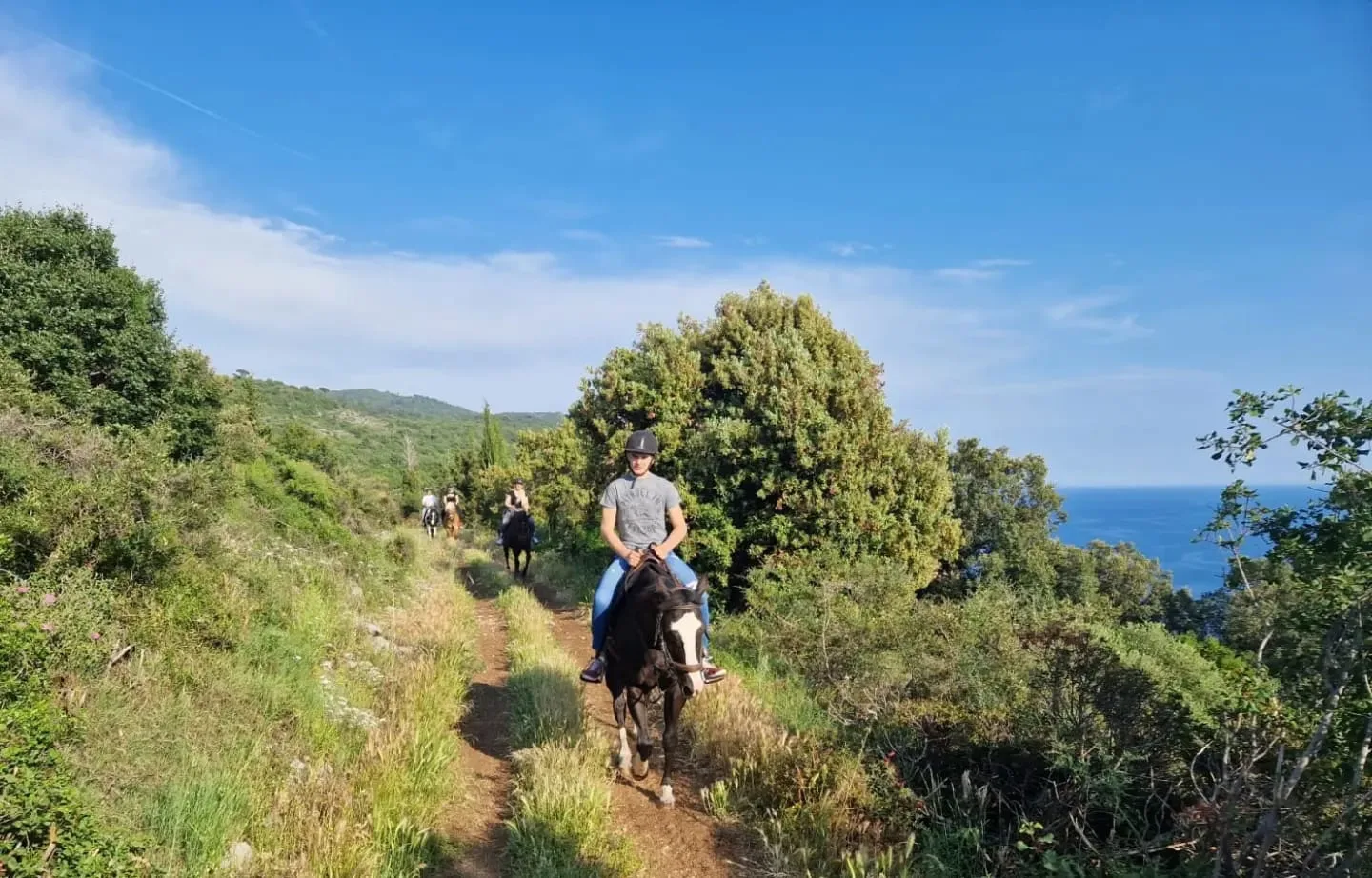 Olive Grove Trail