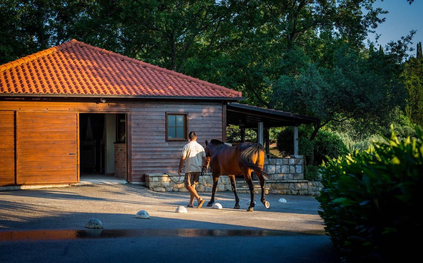 Stable Entrance Path