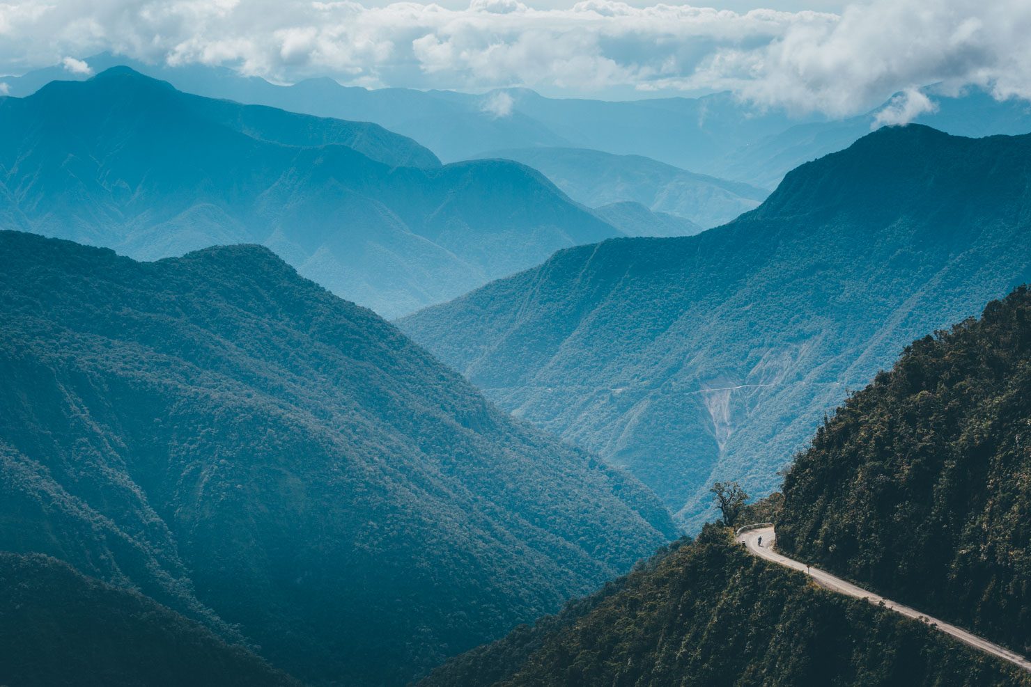 Yungas Valley Viewpoints