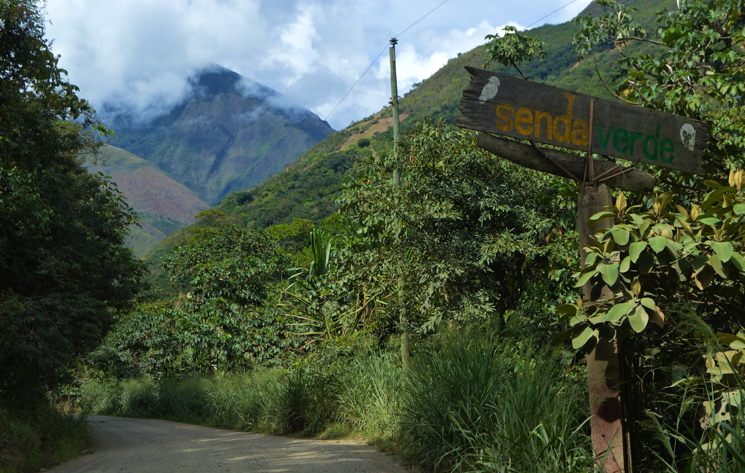 La Senda Verde