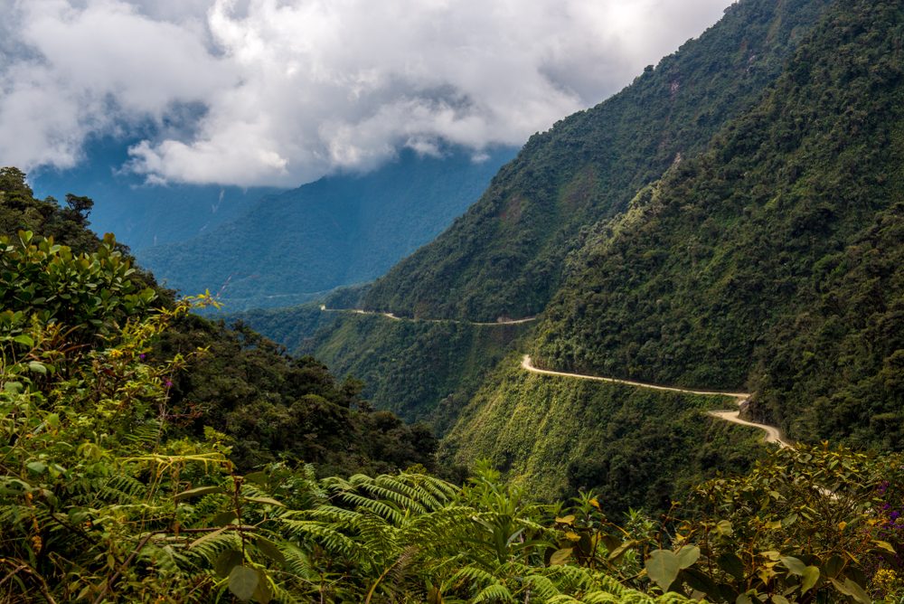 Yungas Valley Overlook