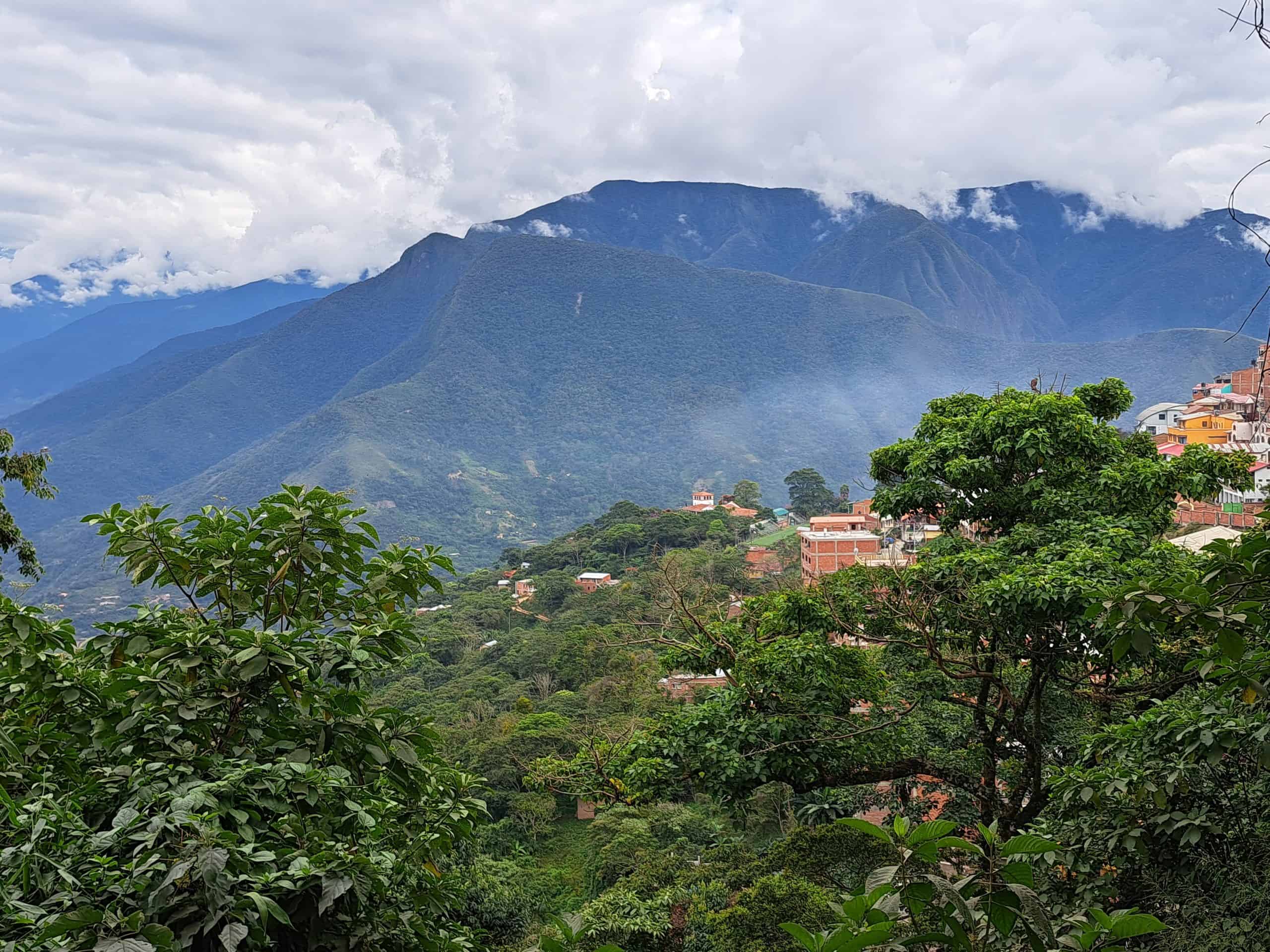 Coroico