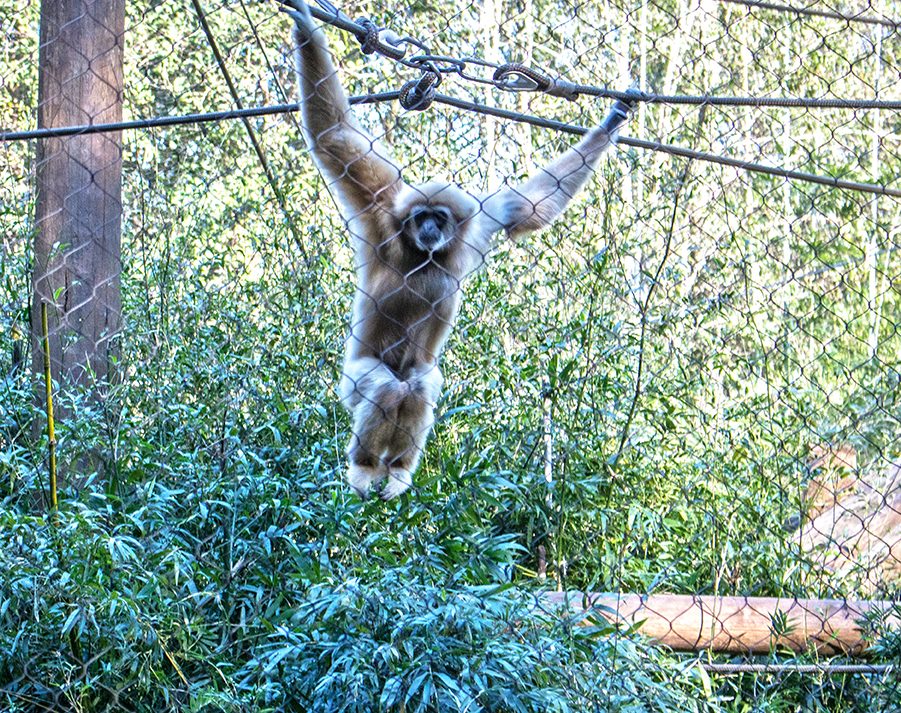 Santa Fe Zoo