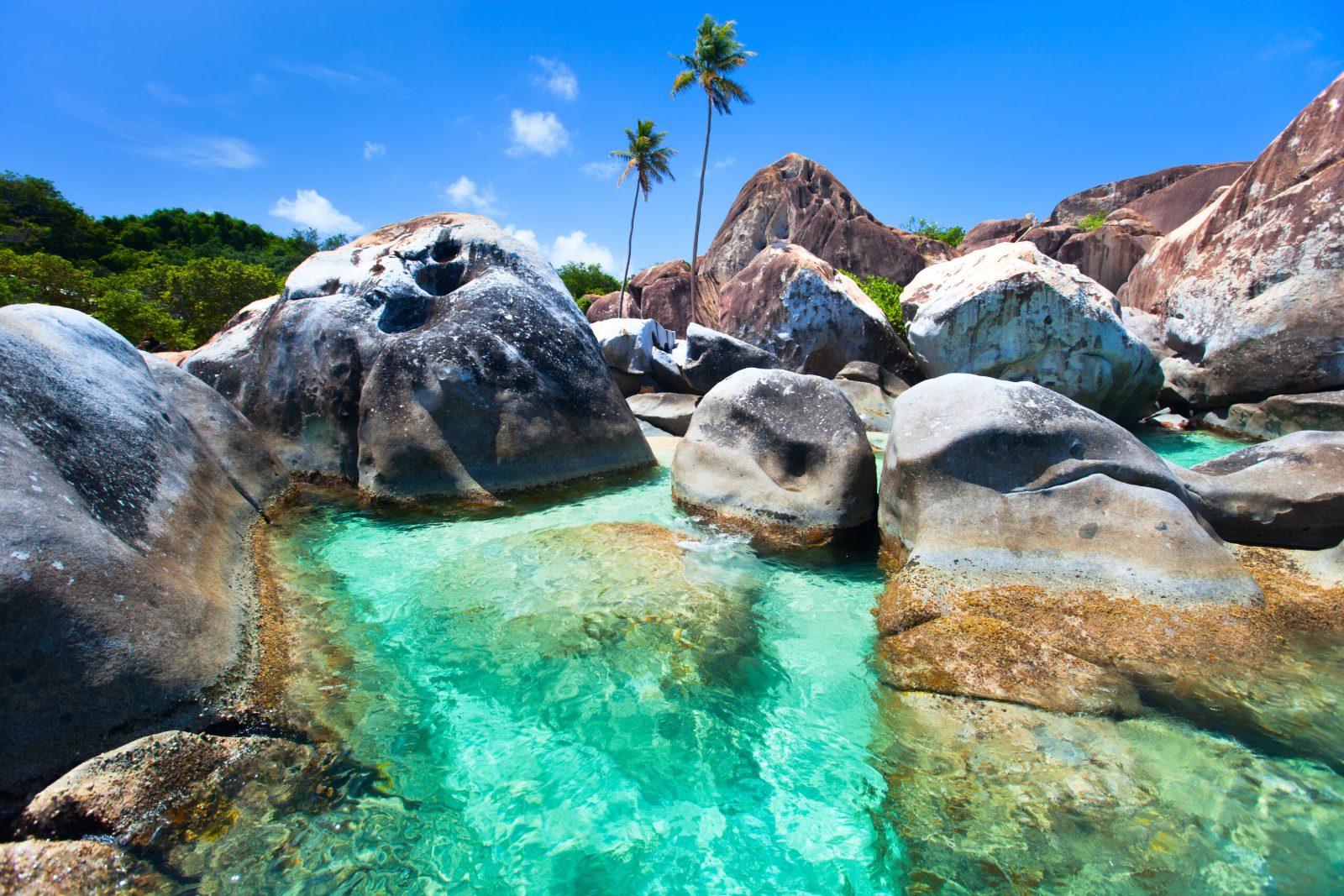 The Baths